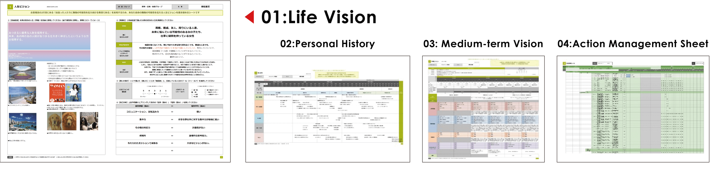 VISION SHEETS