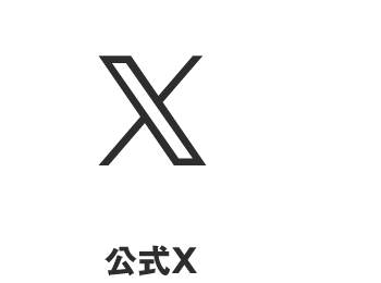 公式X